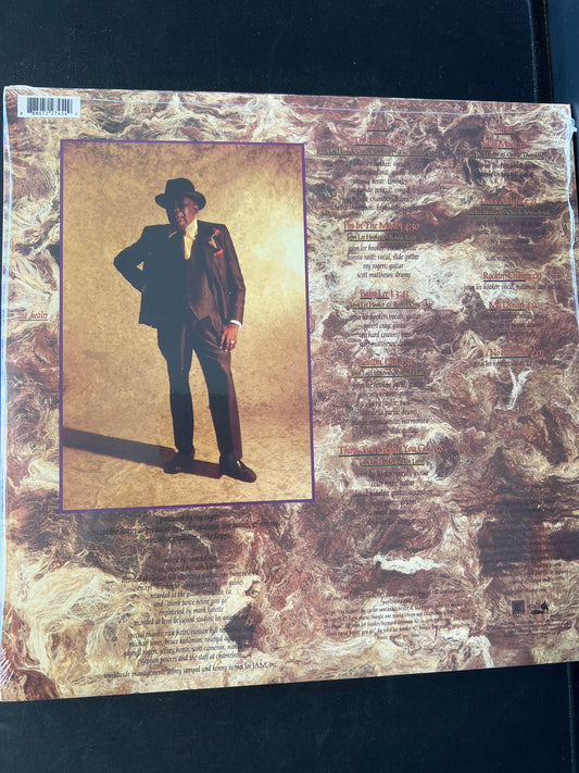 JOHN LEE HOOKER - the healer