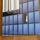 BLUE SUNSHINE - Charles Gross