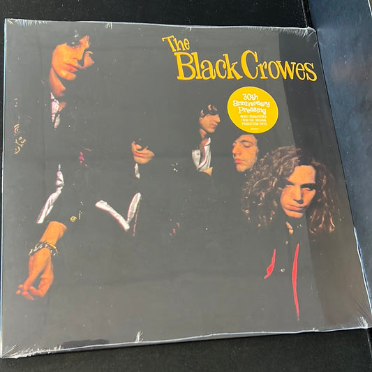 THE BLACK CROWS - shake your money maker