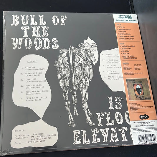 13th FLOOR ELEVATORS - Bull of the woods