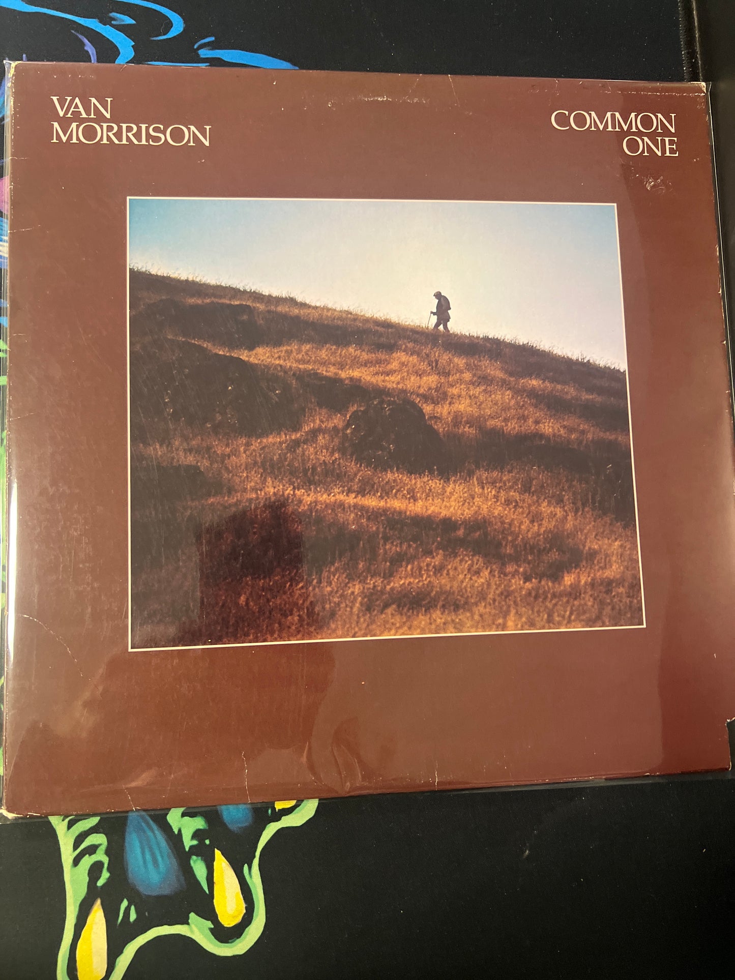VAN MORRISON - common one