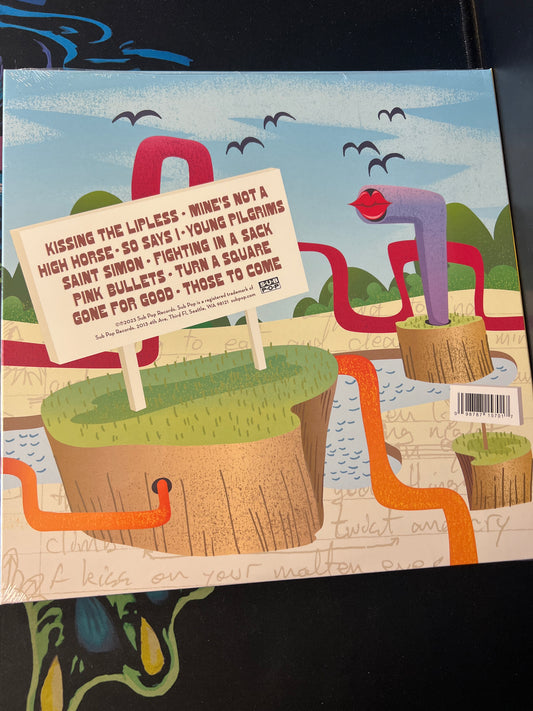 THE SHINS - chutes too narrow