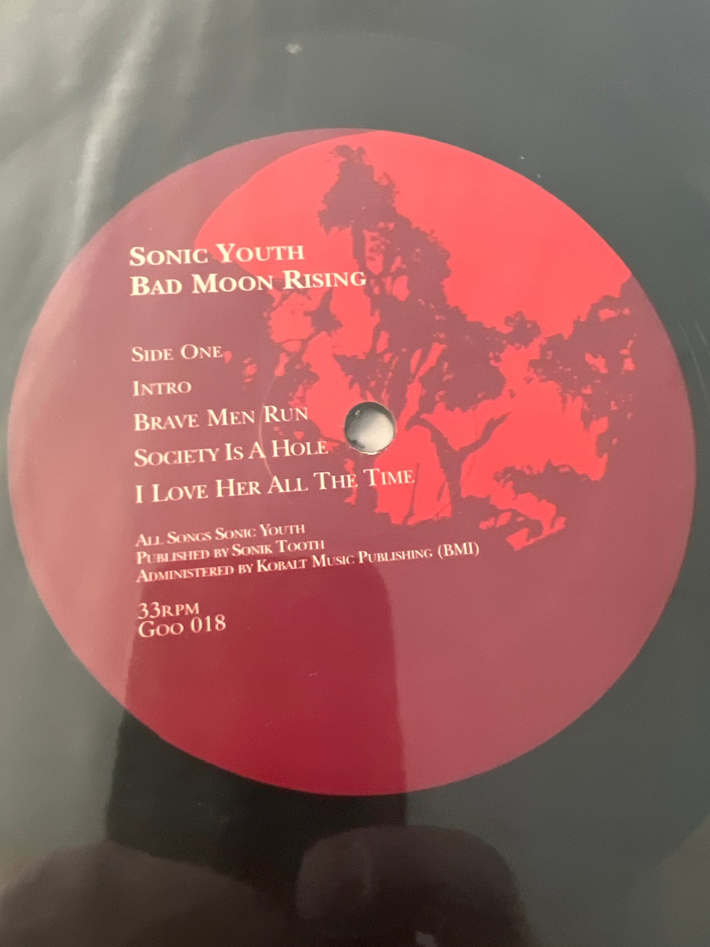 SONIC YOUTH - bad moon rising