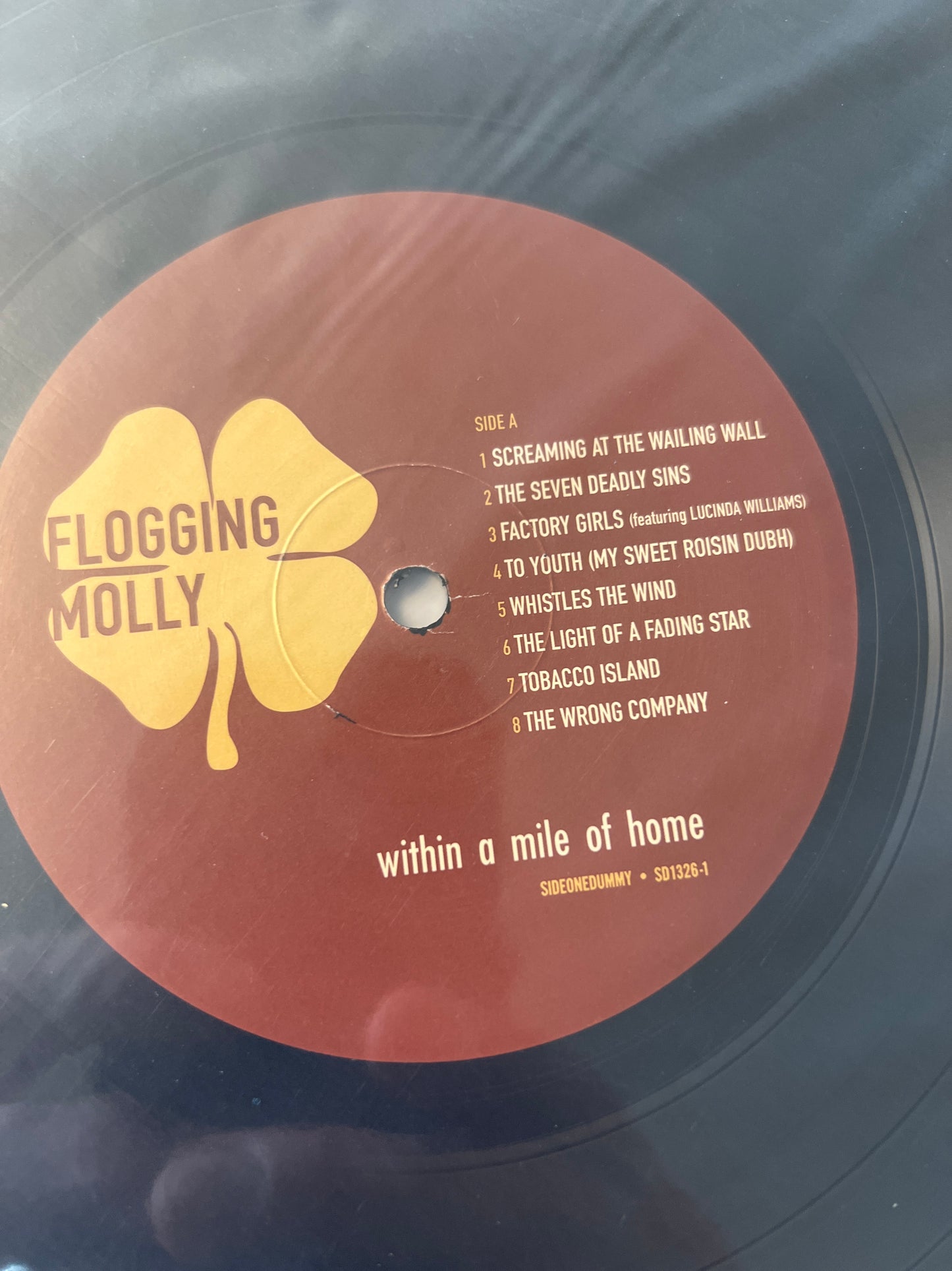 FLOGGING MOLLY - within a mile of home