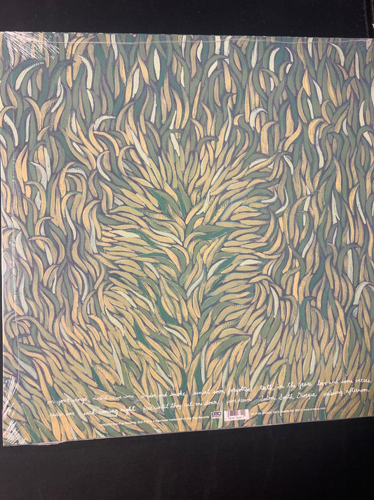IRON + WINE - our endless numbered days