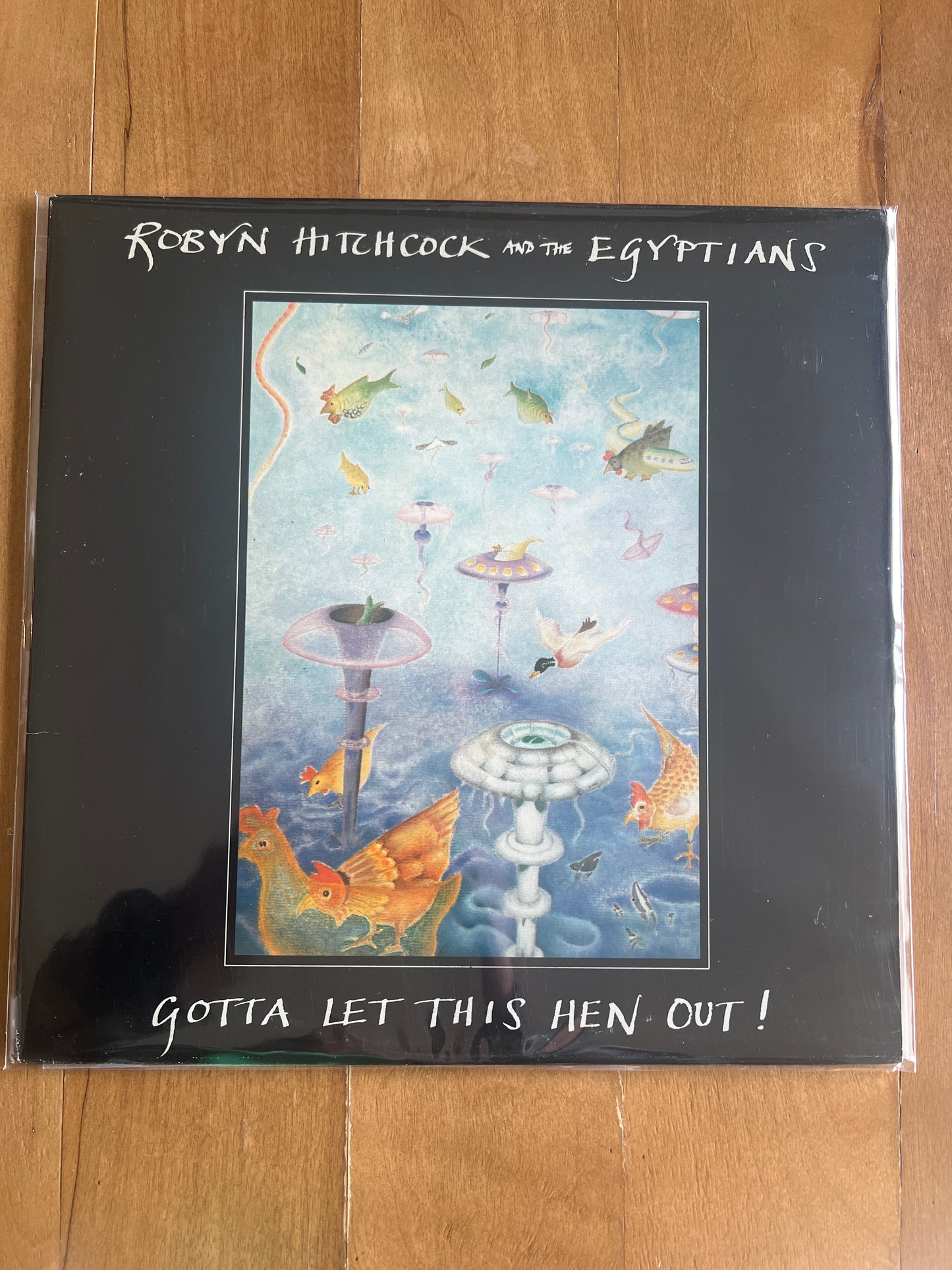 ROBYN HITCHCOCK - gotta let this hen out!