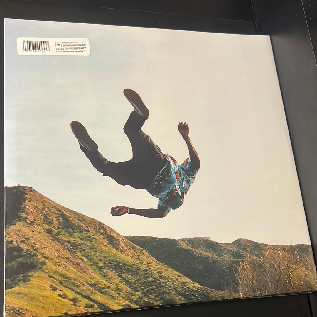 TYLER THE CREATOR - wolf