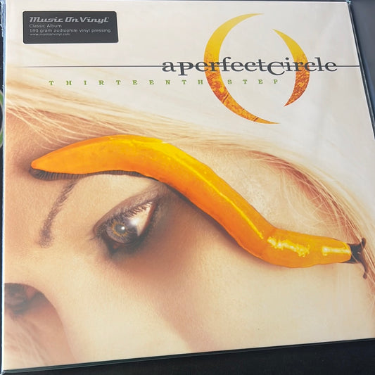 A PERFECT CIRCLE - thirteenth step