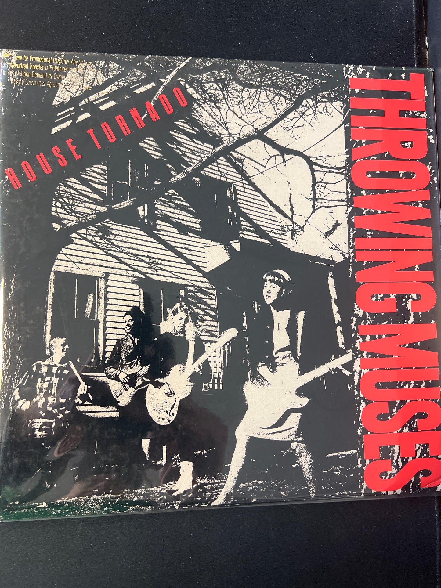 THROWING MUSES - house tornado