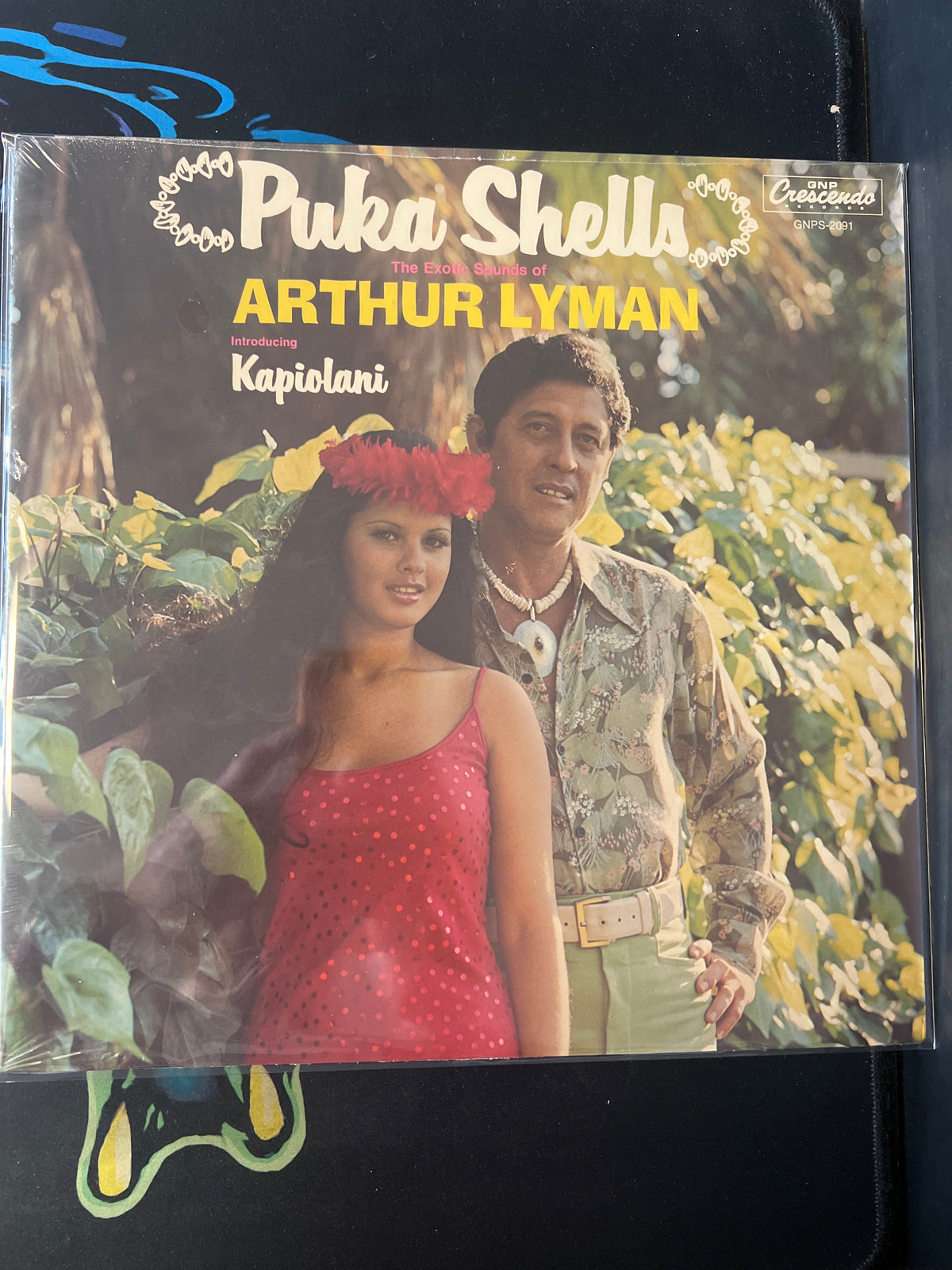 ARTHUR LYMAN - Puka Shells