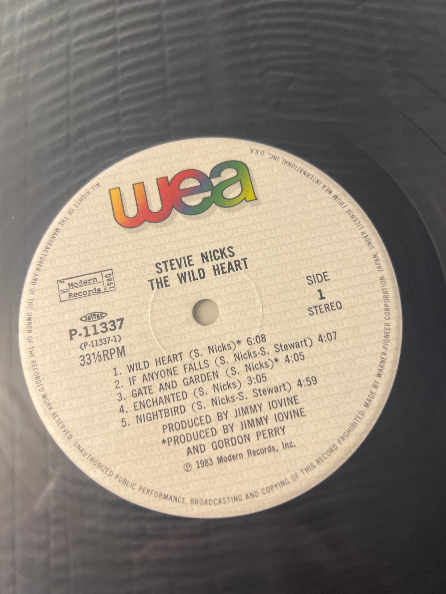 STEVIE NICKS - the wild heart