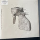 COLDPLAY - a rush of blood to the head