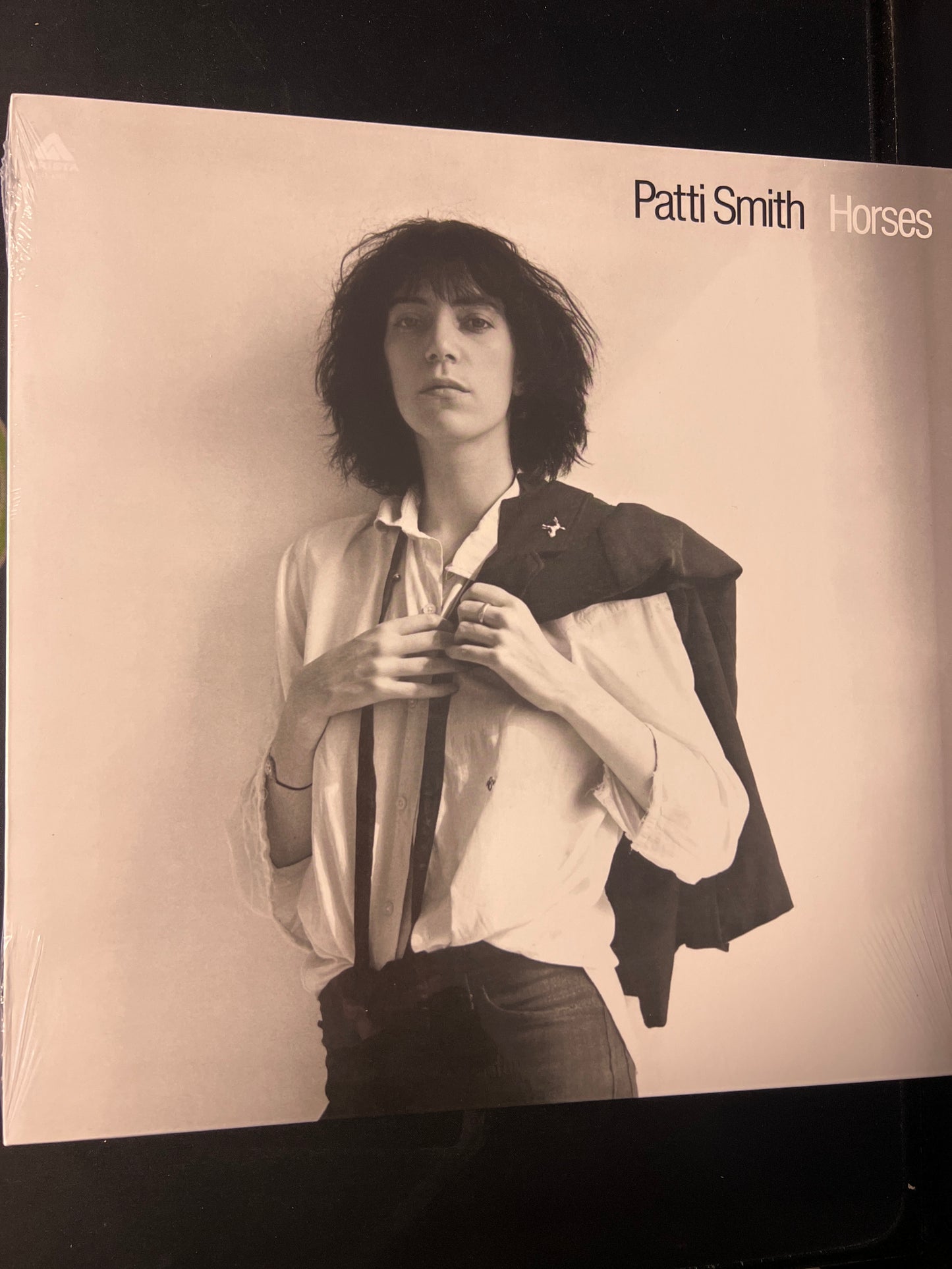 PATTI SMITH - horses
