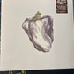 WEEN - white pepper