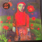 GIRL IN RED - if I could make it go quiet