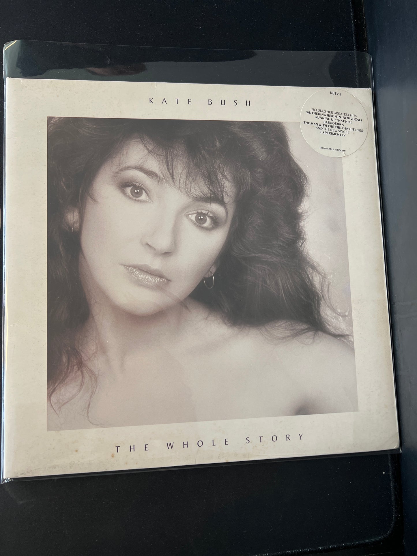 KATE BUSH - the whole story