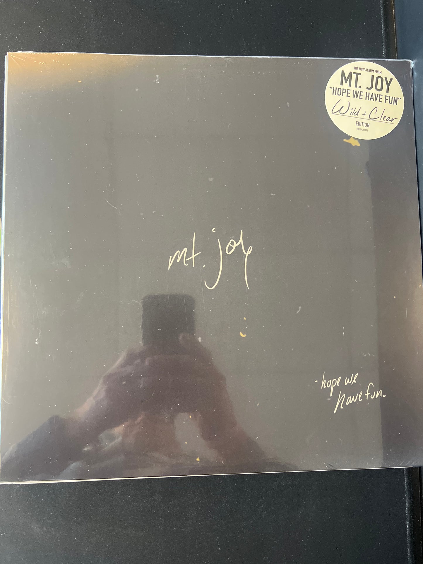 MT. JOY - hope we have fun