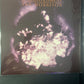 VAN MORRISON - enlightenment