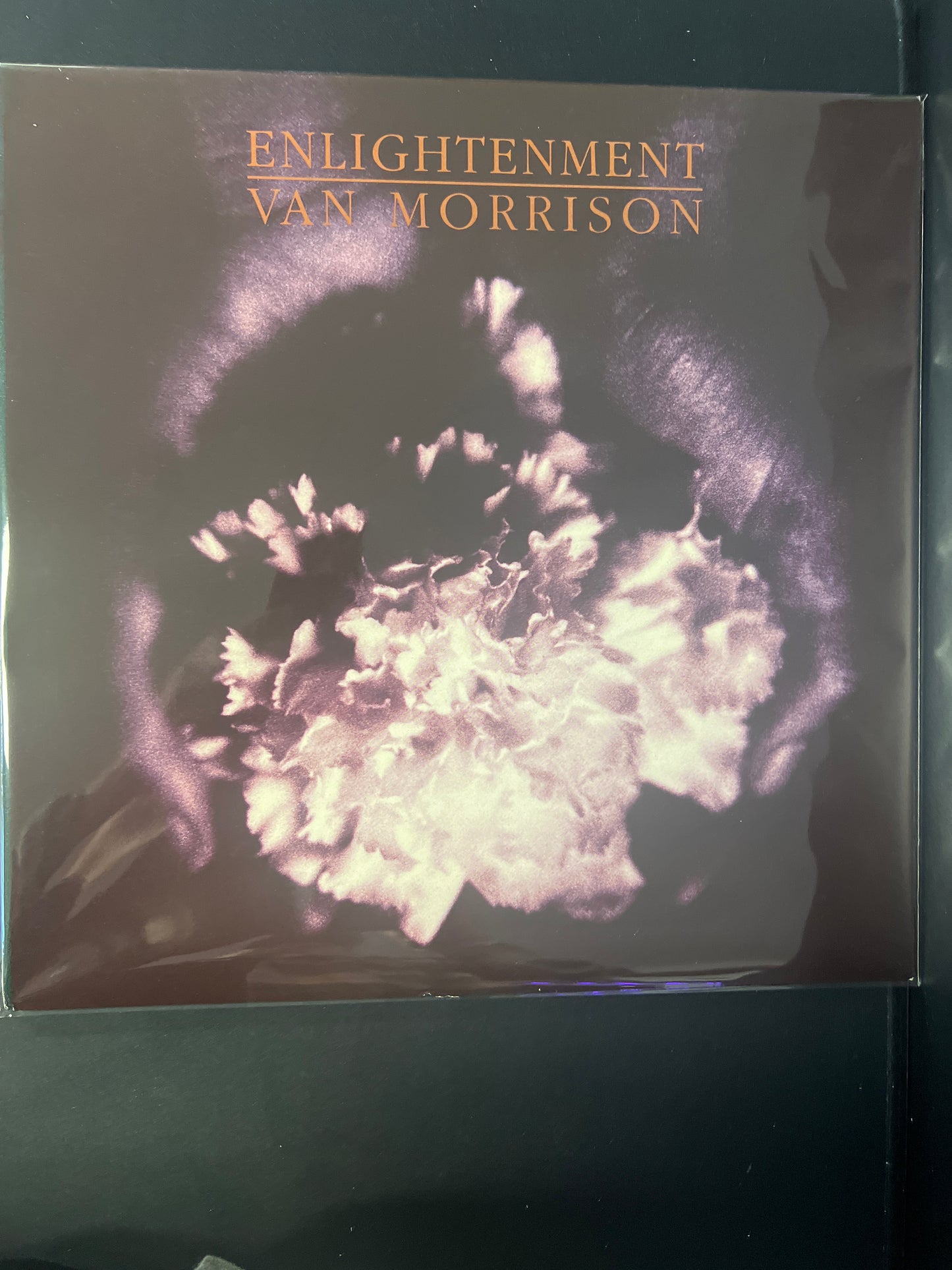 VAN MORRISON - enlightenment