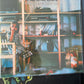 THROBBING GRISTLE - D.o.A. The third and final report of