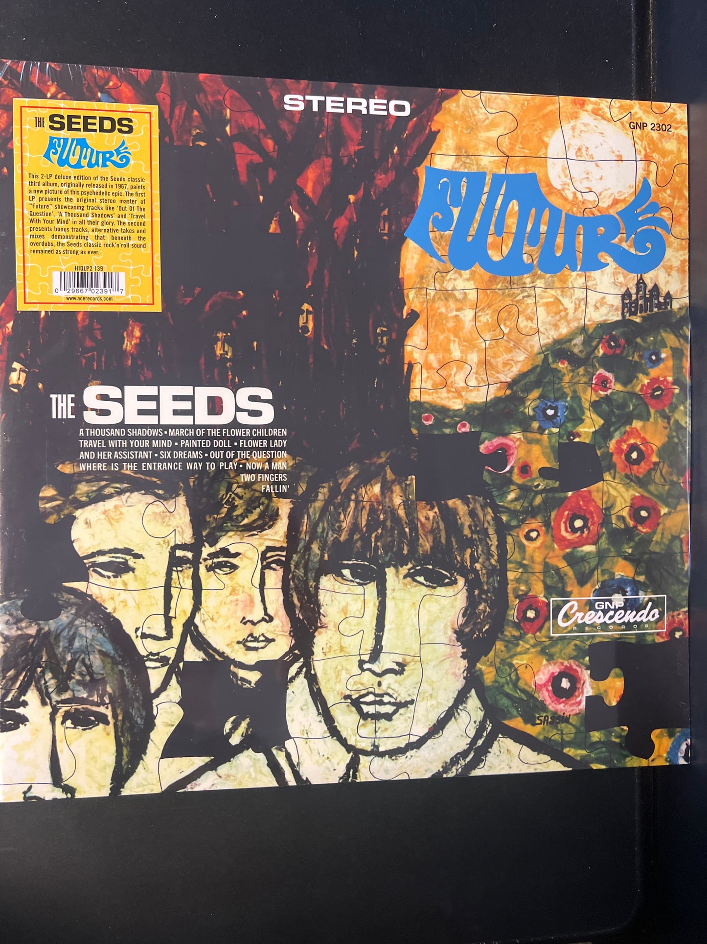 THE SEEDS - future