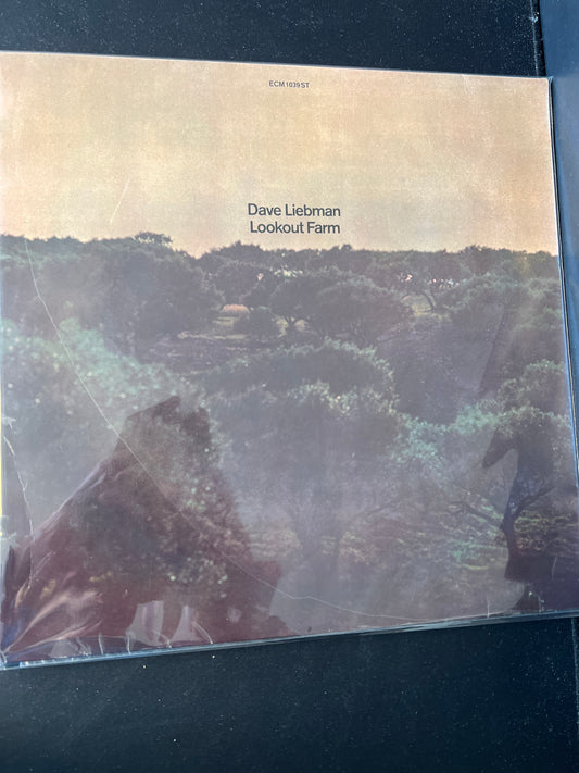 DAVE LIEBMAN - lookout farm