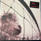 PEARL JAM - vs.