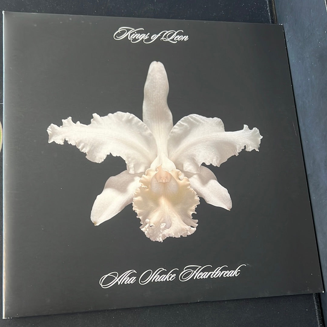 KINGS OF LEON - the early vinyl