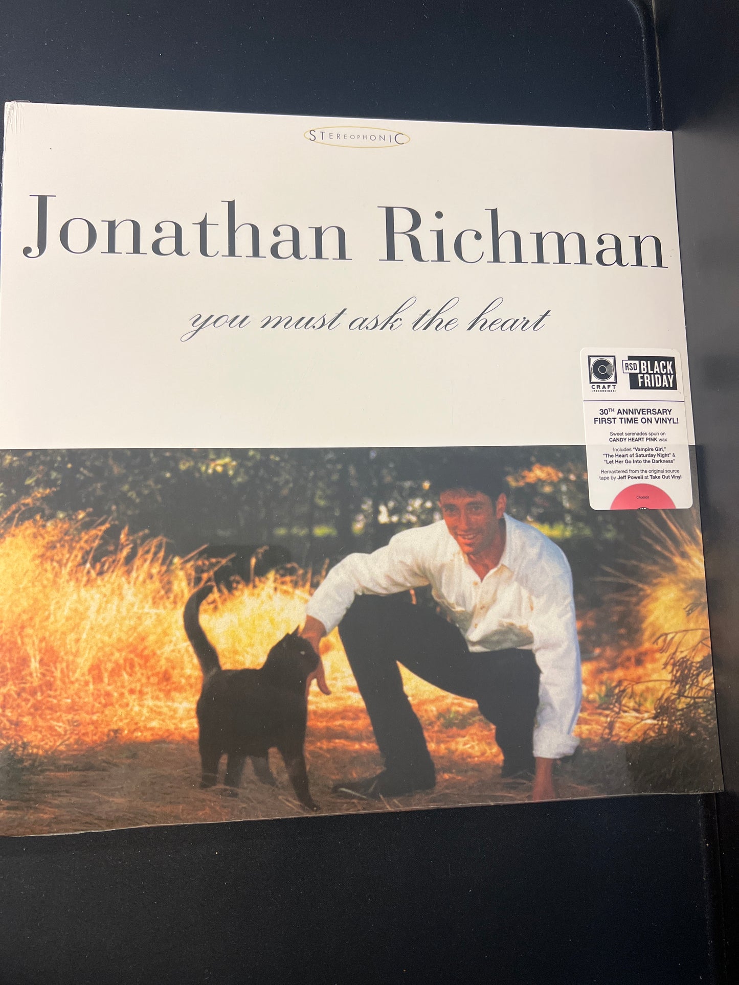 JONATHAN RICHMAN - you must ask the heart