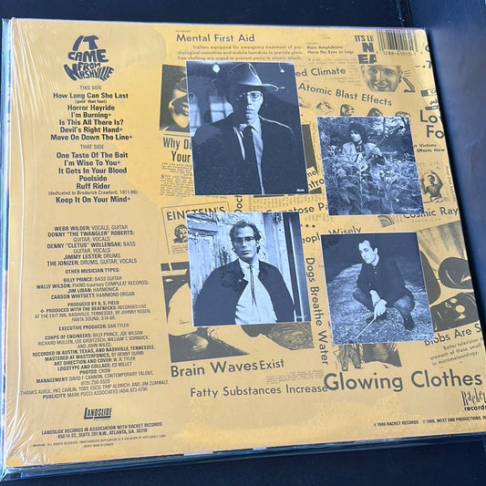 WEBB WILDER AND THE BEATNECKS - it came from Nashville
