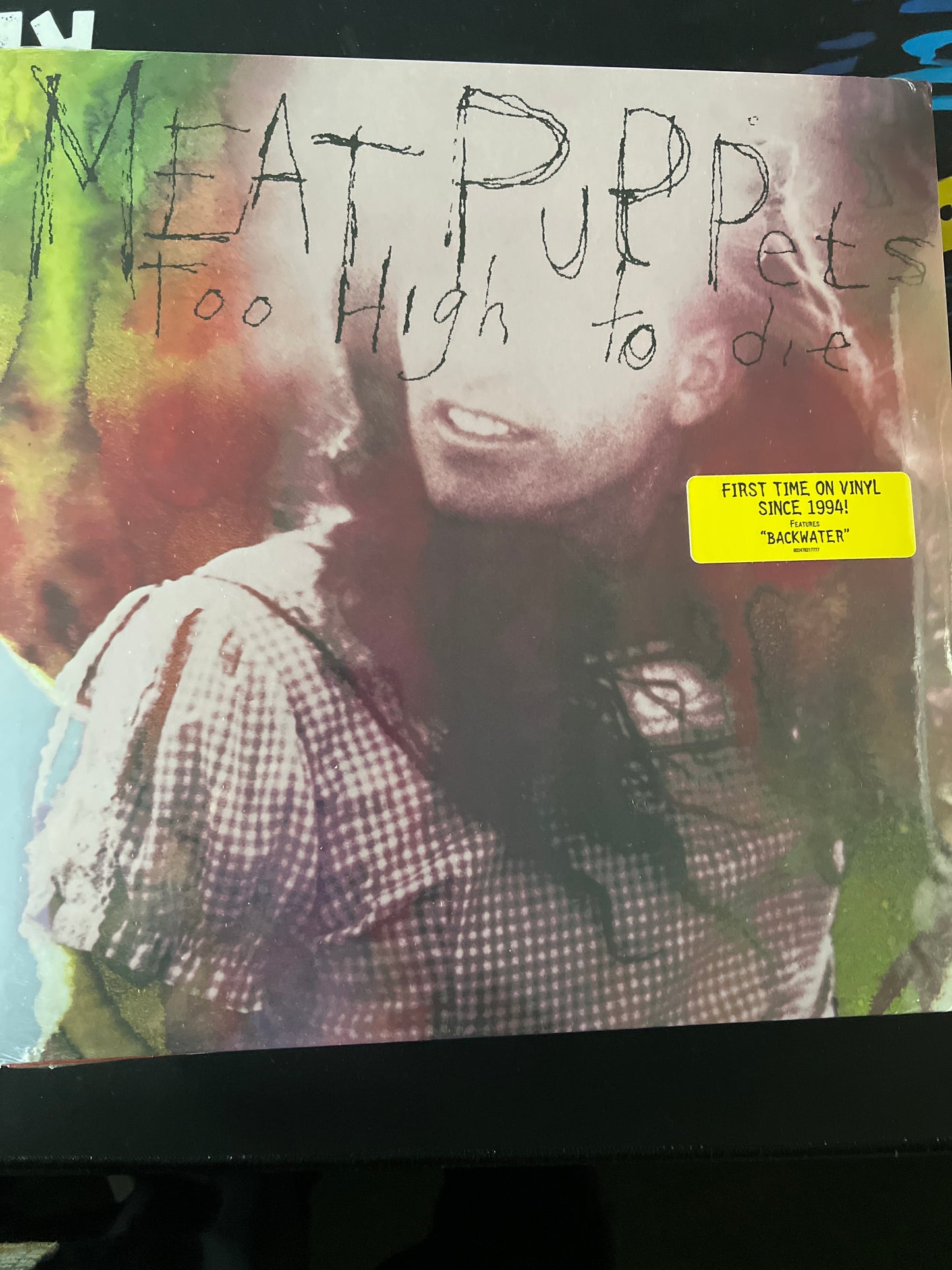 MEAT PUPPETS - too high to die
