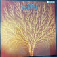 VAN DER GRAAF GENERATOR - still life