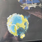 YES - fragile