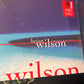 BRIAN WILSON - Imagination
