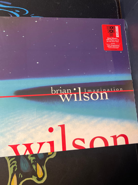 BRIAN WILSON - Imagination