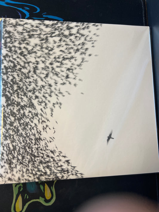 WILCO - sky blue sky