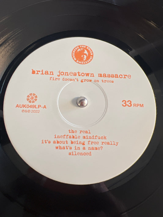 THE BRIAN JONESTOWN MASSACRE - fire doesn’t grow on trees