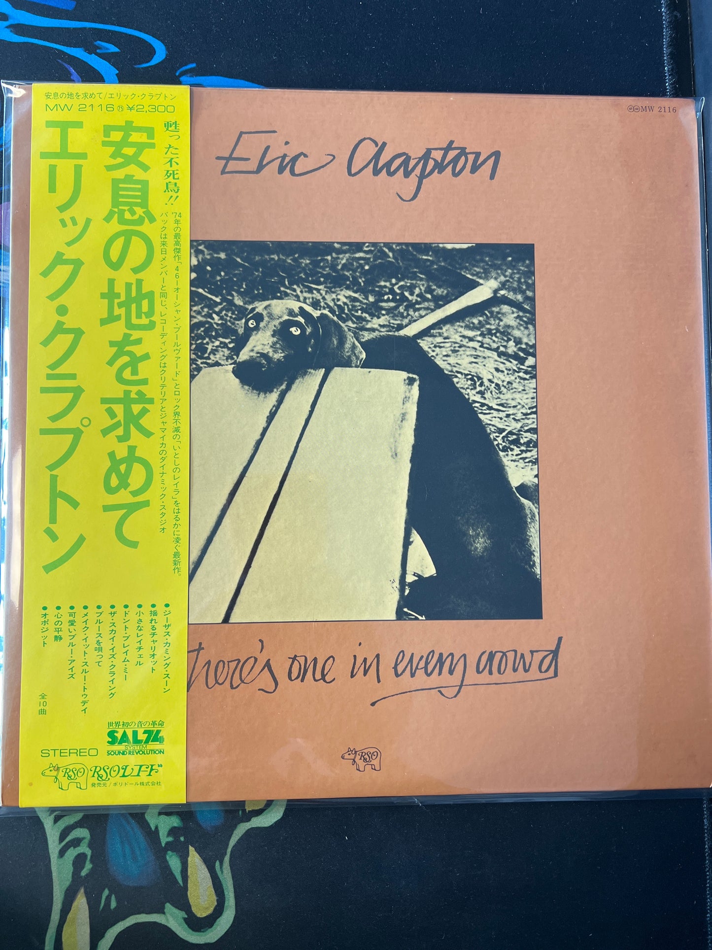 ERIC CLAPTON - there’s one in every crowd
