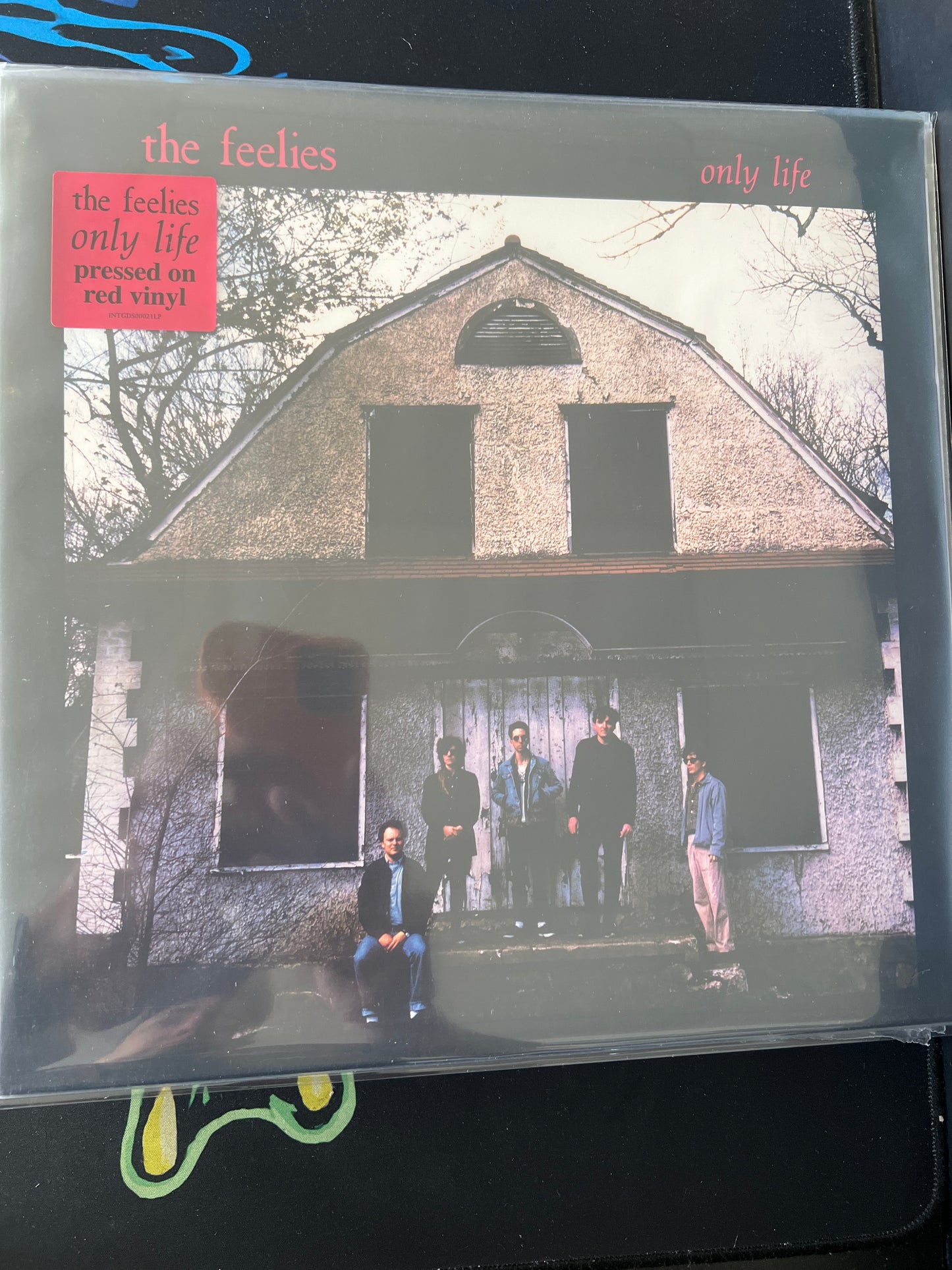 THE FEELIES - only life