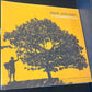 JACK JOHNSON - in between dreams