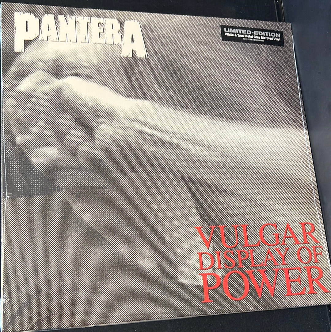 PANTERA - vulgar display of power