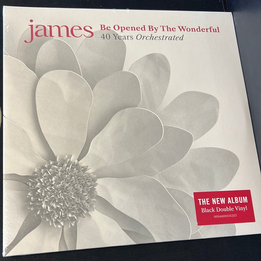 JAMES - be opened by the wonderful 40 years orchestra