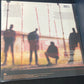 HOOTIE & THE BLOWFISH - cracked rear view