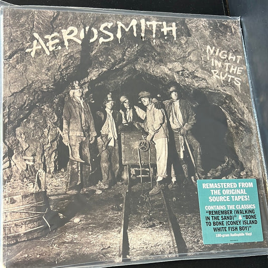 AEROSMITH - night in the ruts