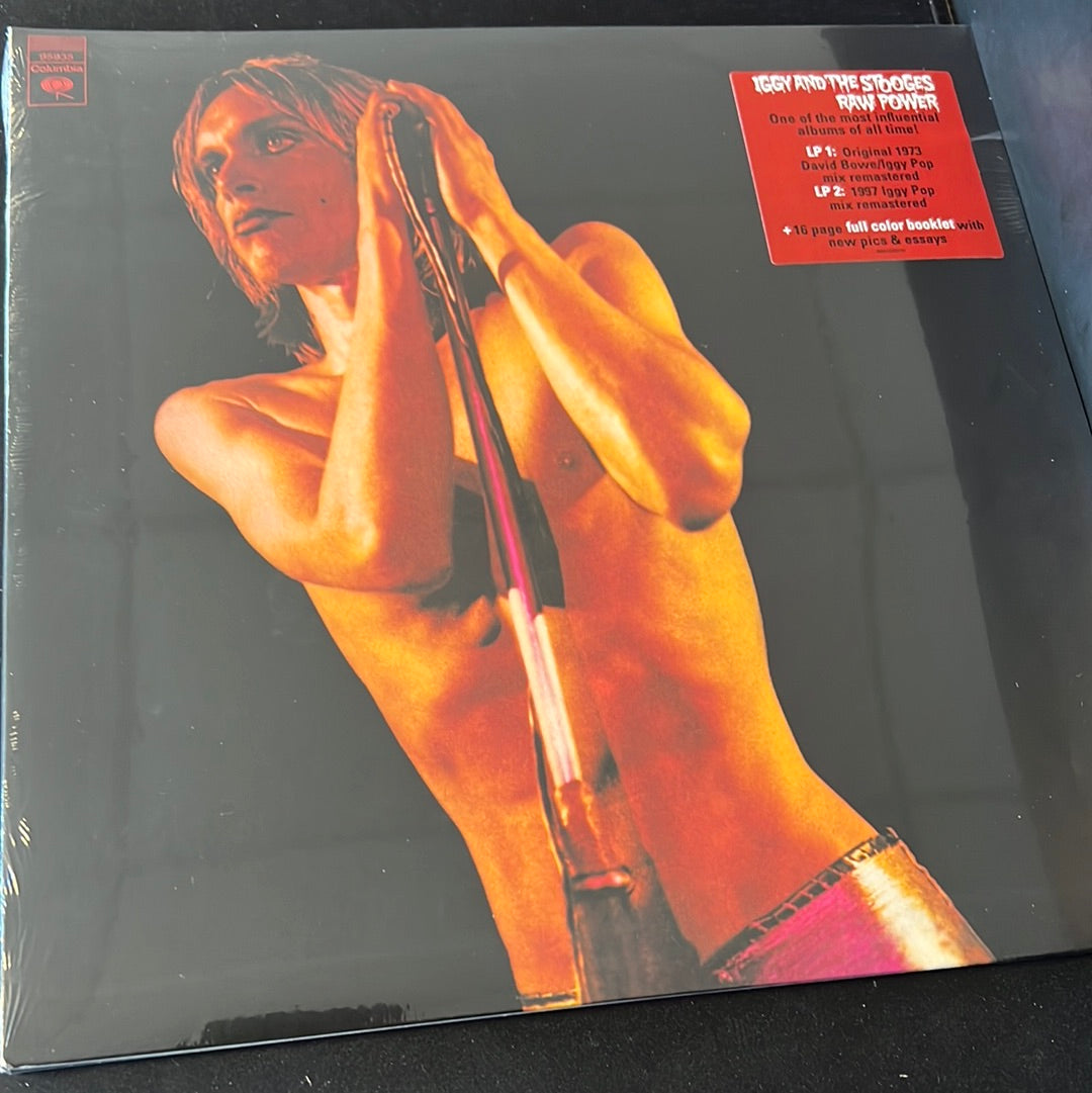 THE STOOGES - raw power