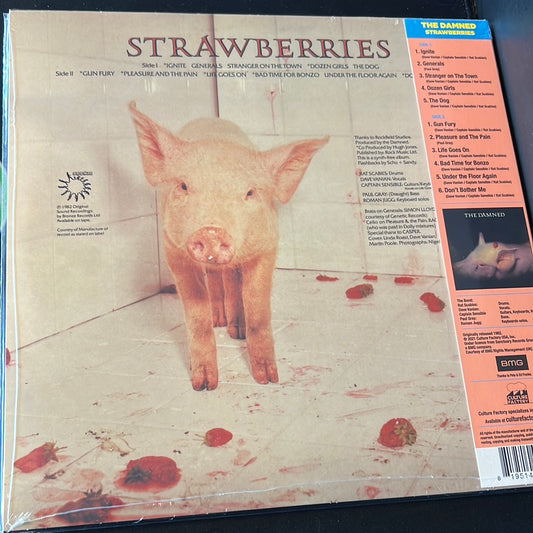 THE DAMED - strawberries