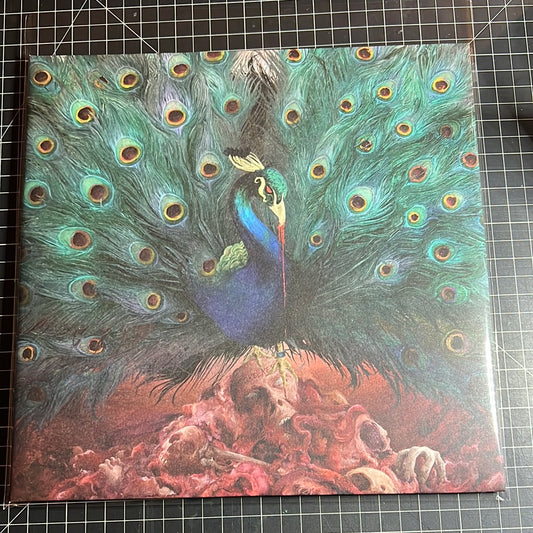 OPETH “Sorceress”