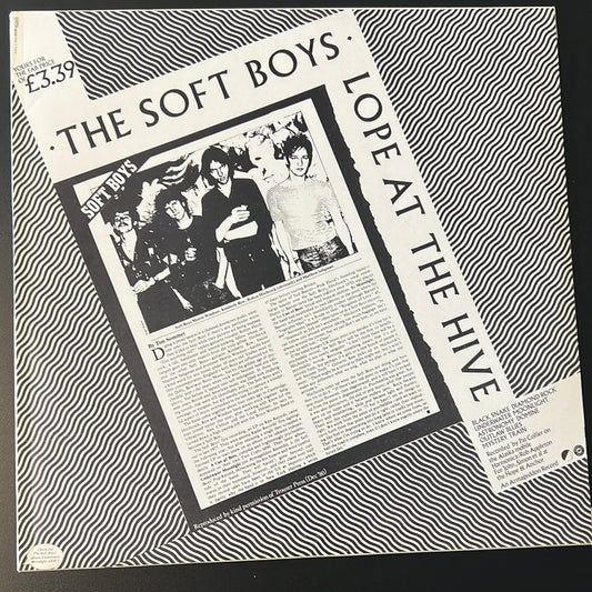 THE SOFT BOYS - only the stones remain