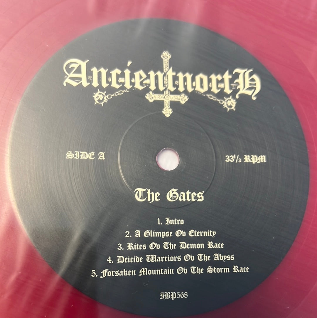 ANCIENT NORTH - the gates