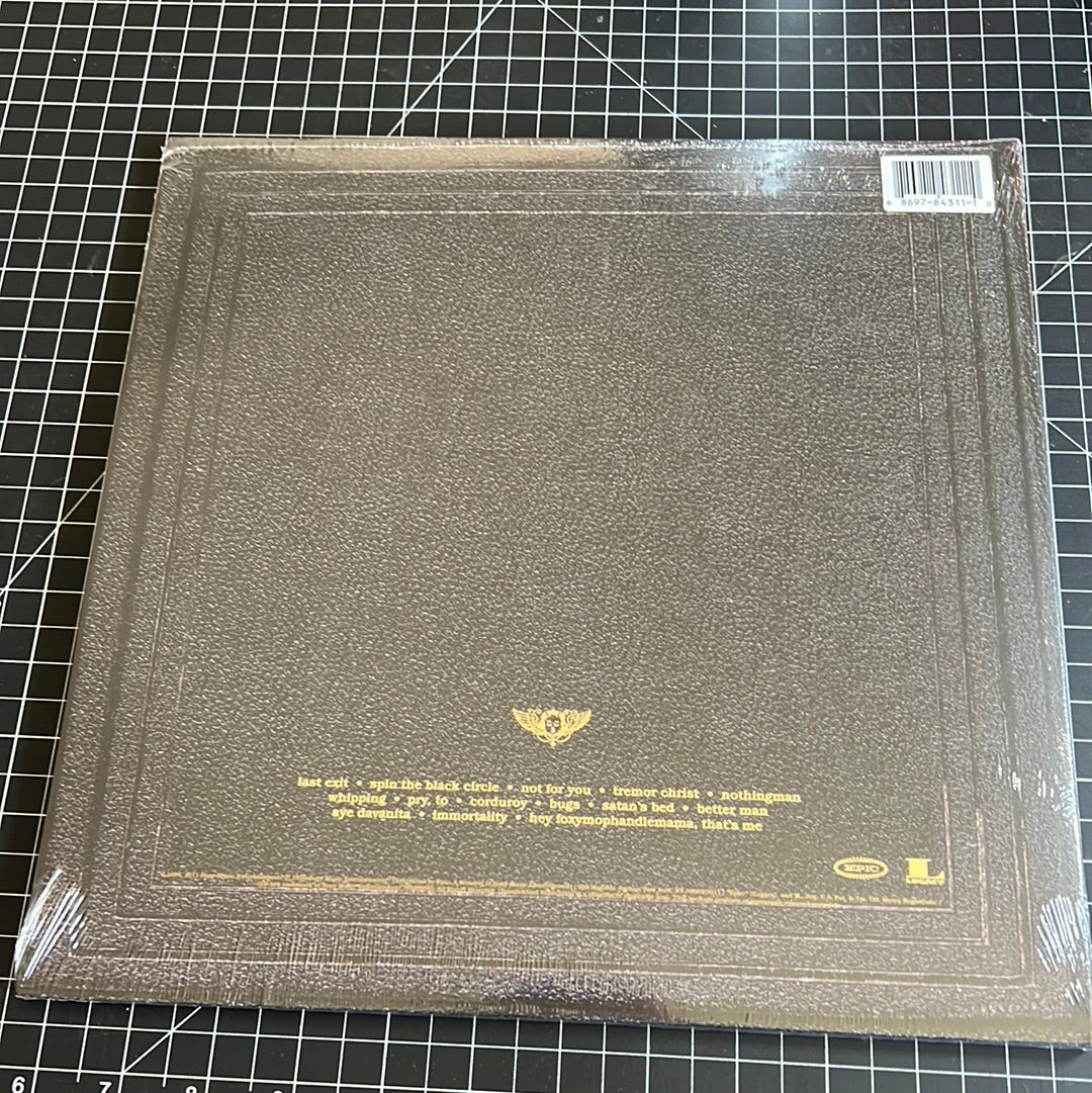 PEARL JAM “vitalogy”